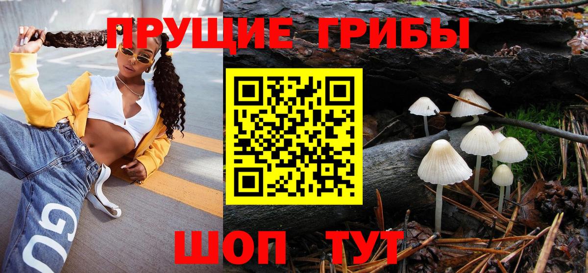 Галлюциногенные грибы MAGIC MUSHROOMS  Псилоцибиновые грибы MAGIC MUSHROOMS  Красногорск  Вход с VPN 